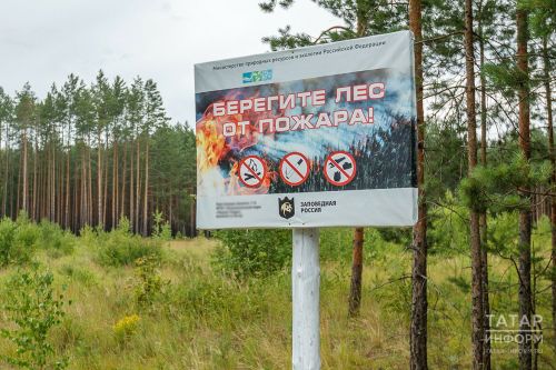 Штормовое предупреждение о высокой пожарной опасности в лесах Татарстана