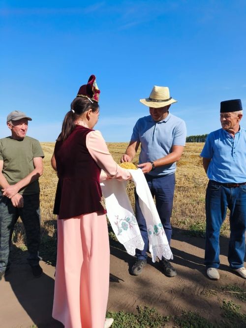 Начало жатвы в Тетюшском районе РТ ознаменовалось традиционными обрядами