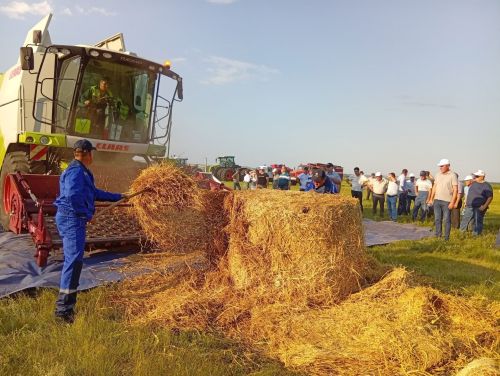 Урожай обещает быть щедрым