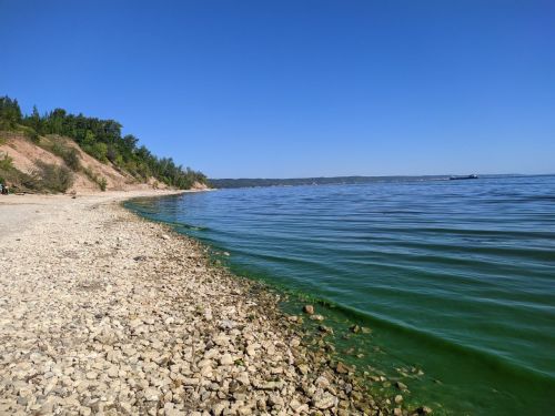 Опасность купания в цветущих водоемах: предупреждение врача