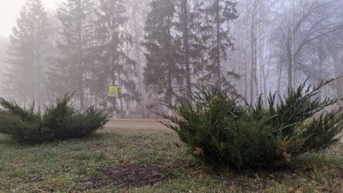 Прогноз погоды в Татарстане: ожидается туман 16 августа 2025 года