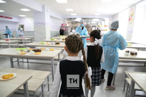 Проект о бесплатном горячем питании для всех школьников внесут в Госдуму