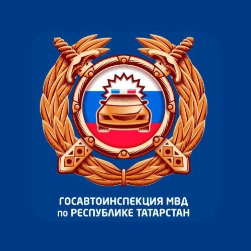 Новогодняя кампания выявила 416 пьяных водителей