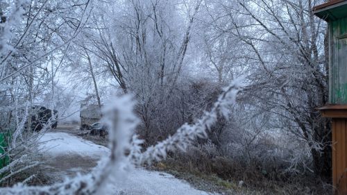 Похолодание накроет Татарстан в середине января