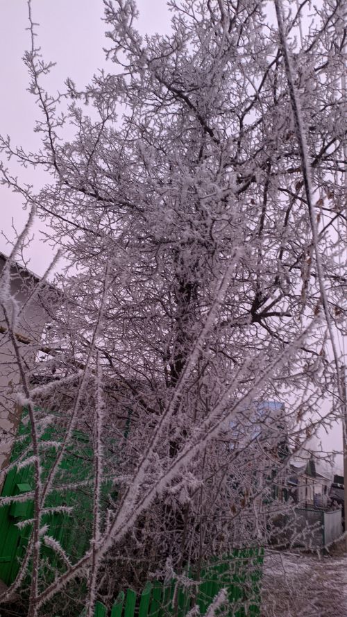 В Татарстане в ночь на 15 января похолодает до -21 °C