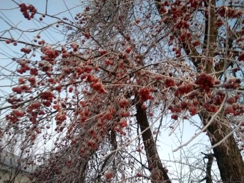 Зимние приключения юных исследователей из Тетюш
