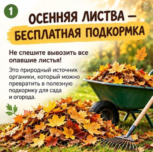 Как превратить осеннюю листву в подкормку для сада