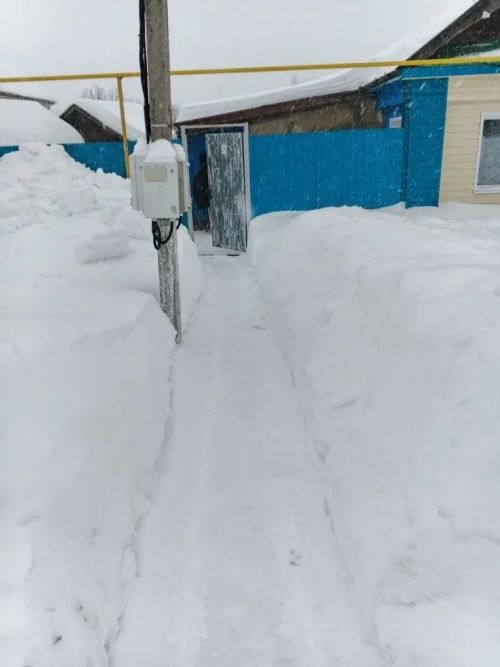 Активисты Тетюш помогают пожилым расчищать снег