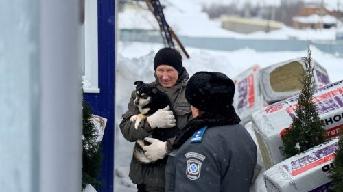 Рейд по проверке содержания домашних животных прошел в Тетюшах