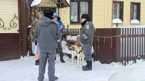 Рейд по проверке содержания домашних животных прошел в Тетюшах