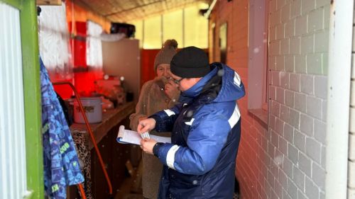 Рейд по проверке содержания домашних животных прошел в Тетюшах