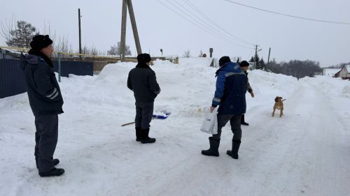 Рейд по проверке содержания домашних животных прошел в Тетюшах