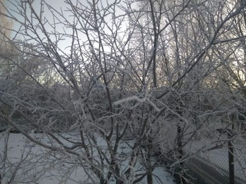 В Татарстане аномальное тепло: температура выше нормы на 4–5 °C
