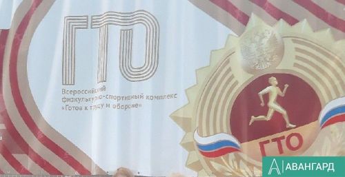 Спортшкола Тетюшского района провела познавательную викторину о ГТО