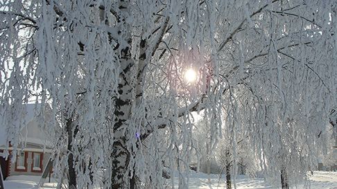 Гидрометцентр Татарстана сообщил прогноз погоды на 8 марта 2026 года