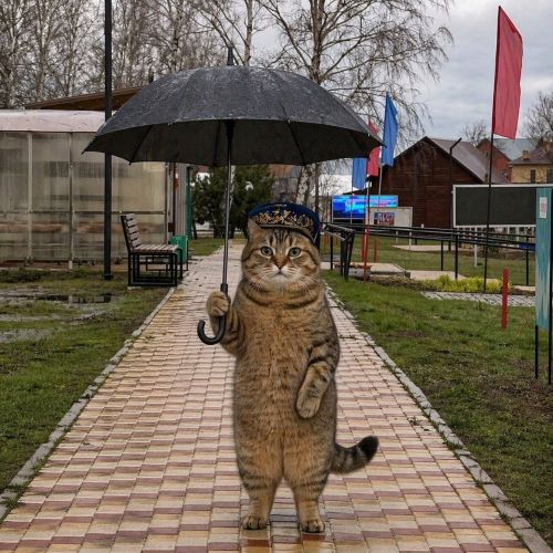 В пятницу в Татарстане — последний тёплый вздох: температура до +14°C и порывистый южный ветер до 20 м/с.