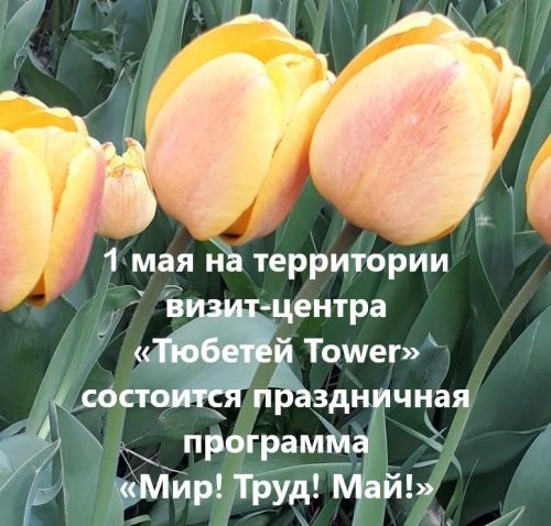 В Тетюшах состоится праздничная программа «Мир! Труд! Май!»