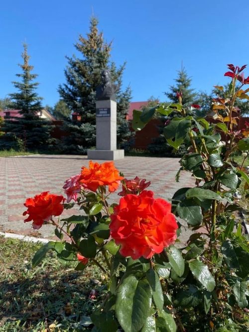 Добрая традиция: выпускники Тетюшской кадетской школы-интерната сажают розы