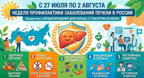 Неделя профилактики заболеваний печени: как сберечь важный орган
