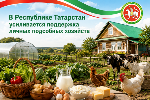 В Республике Татарстан усиливается поддержка личных подсобных хозяйств