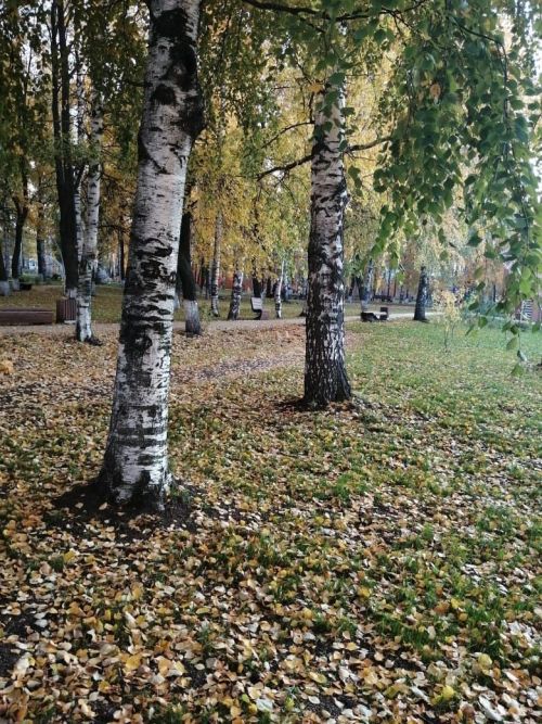 В Татарстане объявили штормовое предупреждение в связи с грозой, сильным ветром и туманом