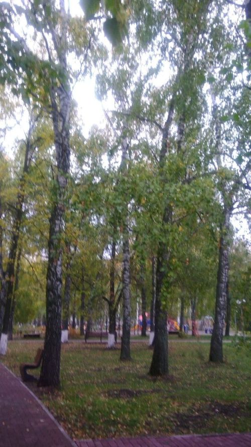 В Татарстане объявили штормовое предупреждение в связи с грозой, сильным ветром и туманом