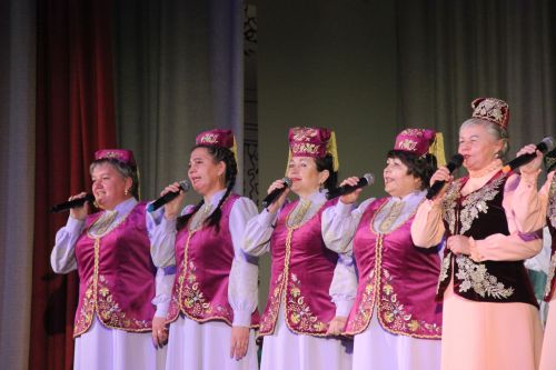День культуры Тетюшского района