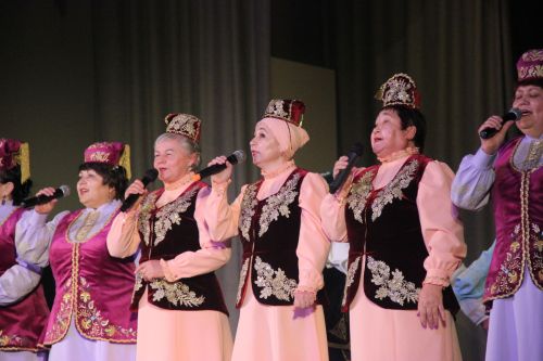 День культуры Тетюшского района
