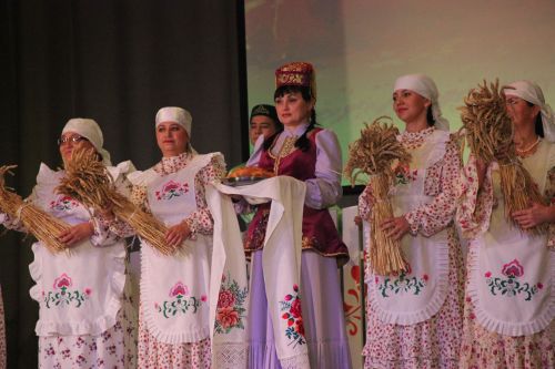 День культуры Тетюшского района