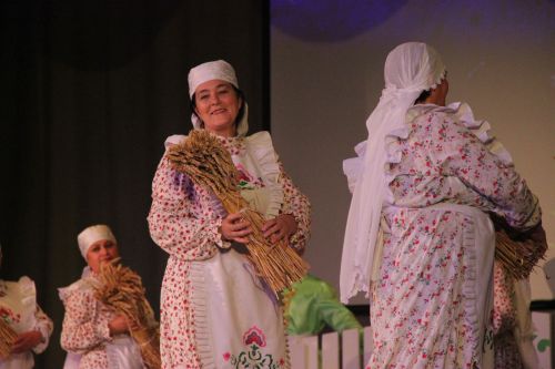 День культуры Тетюшского района