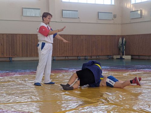 В Тетюшах проходит спортивный праздник по борьбе самбо