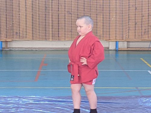 В Тетюшах проходит спортивный праздник по борьбе самбо