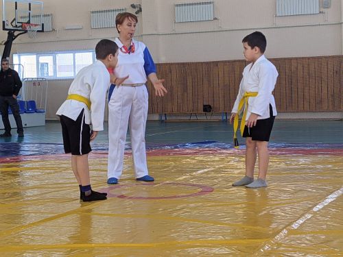 В Тетюшах проходит спортивный праздник по борьбе самбо