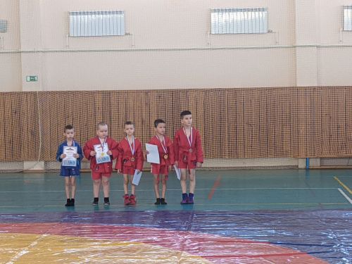 В Тетюшах проходит спортивный праздник по борьбе самбо