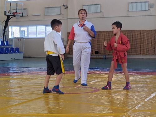 В Тетюшах проходит спортивный праздник по борьбе самбо