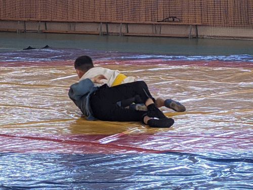 В Тетюшах проходит спортивный праздник по борьбе самбо