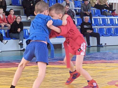 В Тетюшах проходят соревнования по самбо