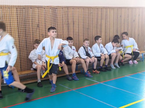 В Тетюшах проходят соревнования по самбо