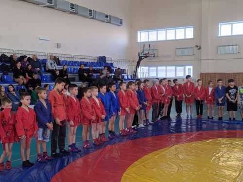 В Тетюшах проходят соревнования по самбо