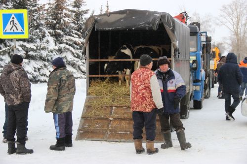 Масленица в Тетюшах