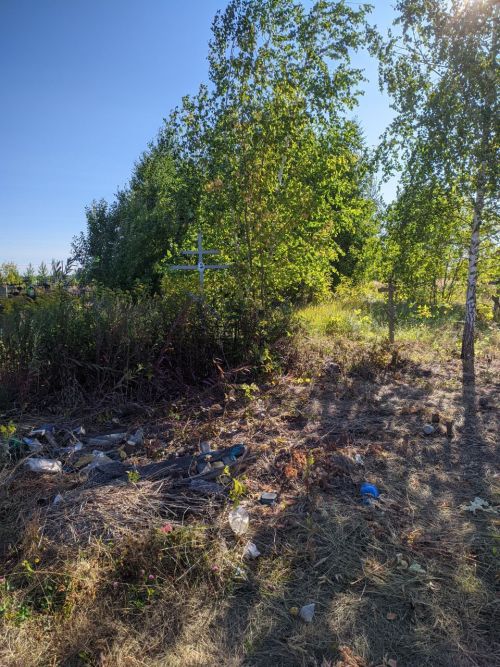Субботник на Людоговском кладбище города Тетюши