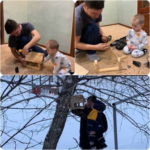 Экологическая акция «Покормите птиц зимой»