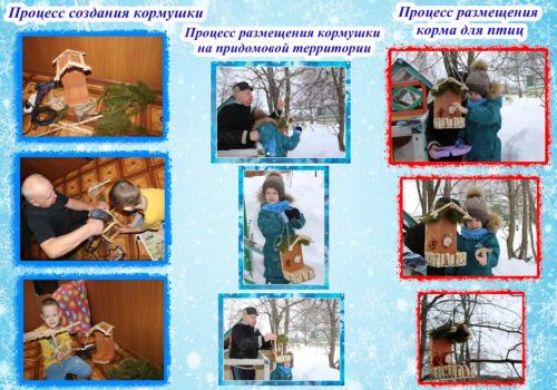 Экологическая акция «Покормите птиц зимой»