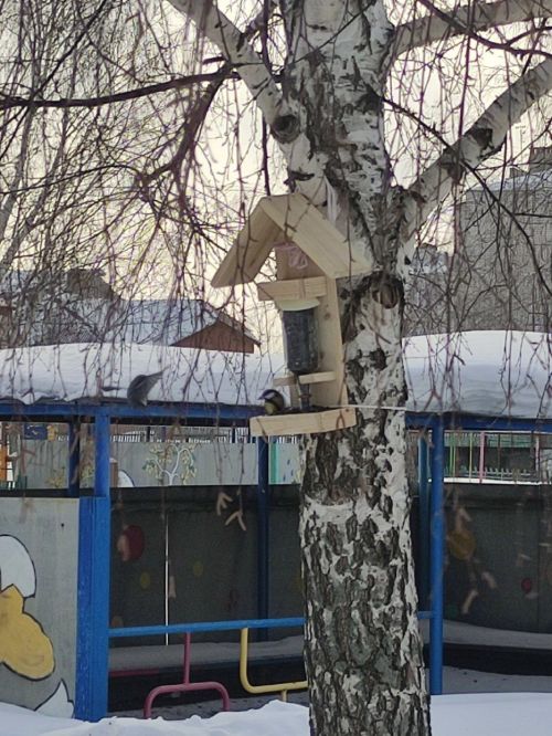 Экологическая акция «Покормите птиц зимой»