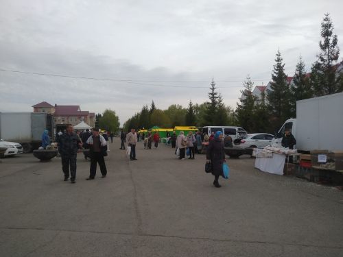 В Тетюшах на площади РДК состоялась сельхозярмарка