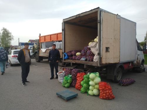 В Тетюшах на площади РДК состоялась сельхозярмарка