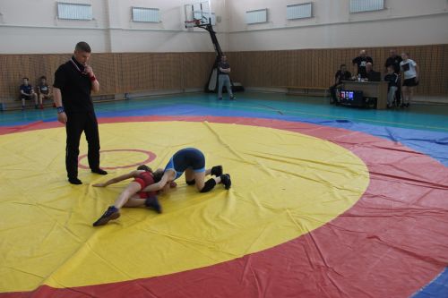 Межрегиональный турнир по вольной борьбе