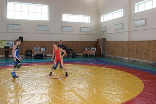 Межрегиональный турнир по вольной борьбе