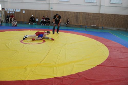 Межрегиональный турнир по вольной борьбе