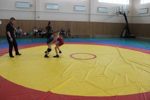 Межрегиональный турнир по вольной борьбе